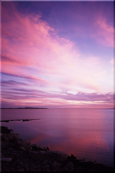 �Z�f���[�i�̊C�� Ceduna