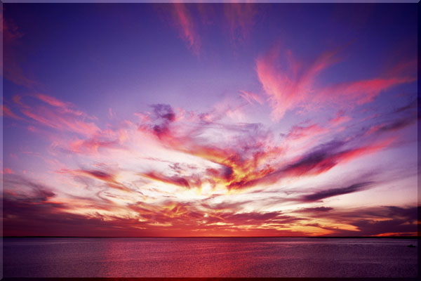 �G�X�y�����X�̗[�Ă� Esperance