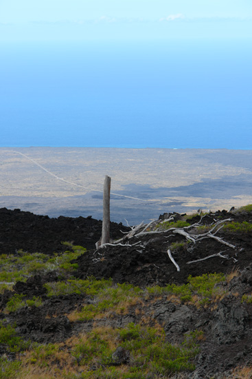 ハワイ火山国立公園 HAWAII Volcanoes Nationnal Park