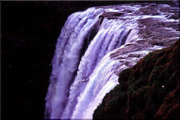 �X�R�D�K�t�H�X Skogafoss