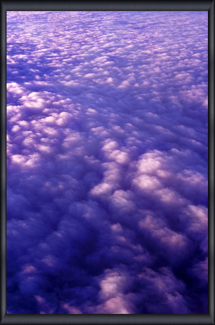 �S���� ANA�@All Nippon Airways NH0130