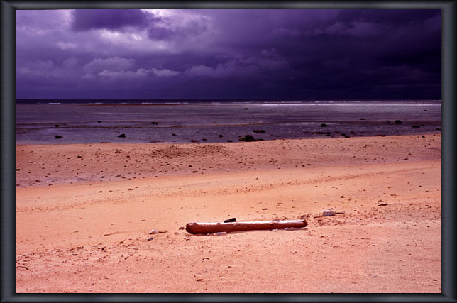 ��n�r�[�`�̗��؁@Sukuji Beach