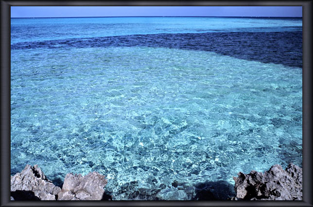 ����������̊C