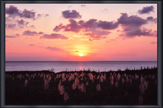 ���ԓ��̗[��