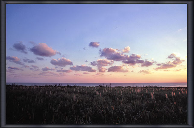 ���ԓ��̗[��