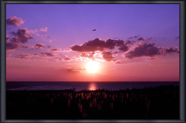 �[���Ɣ�s�@�i���ԓ��j