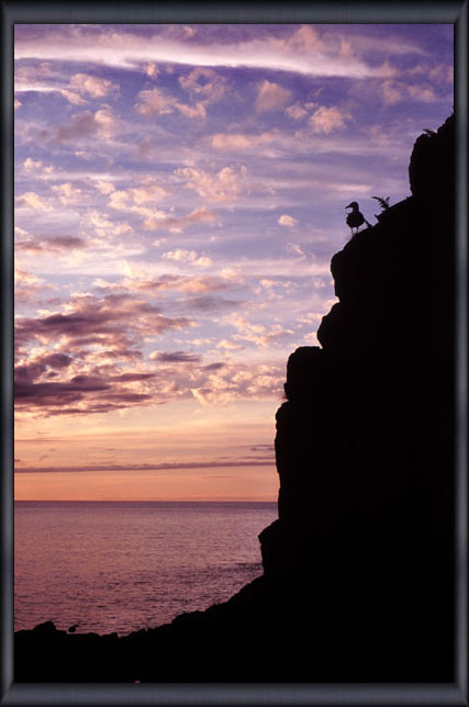 �E�g���̗[�Ă� Utoro