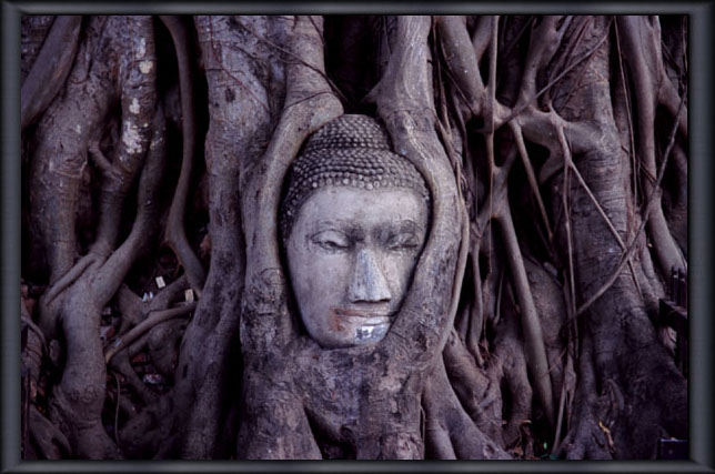 ���� ���b�g�E�v���E�}�n�^�[�g Wat Phra Mahathat