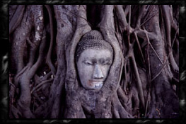  bgEvE}n^[g Wat Phra Mahathat