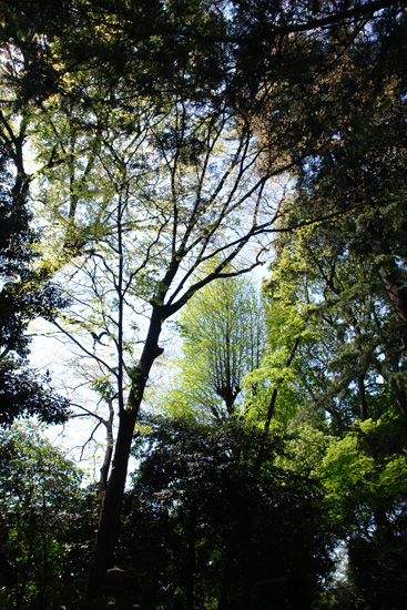 代々木八幡神社